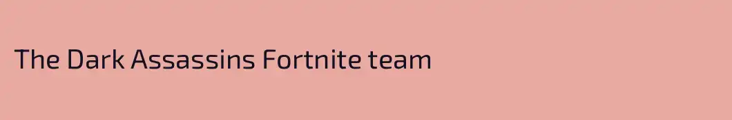 The Dark Assassins Fortnite team